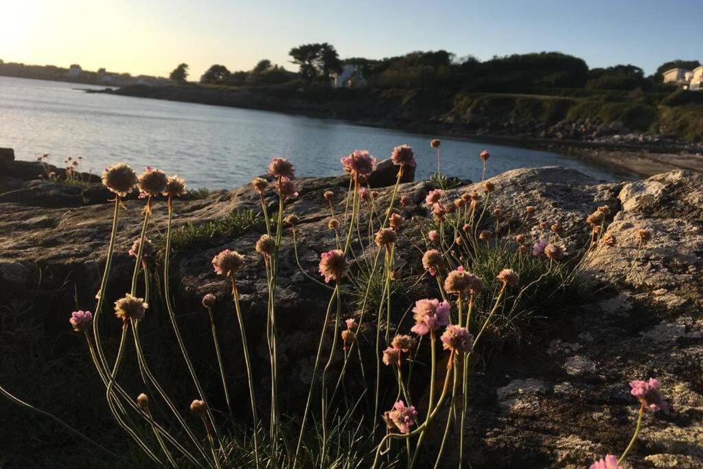 L'Olivier Du Cabellou, A 900 M Des Plages Concarneau Exterior photo